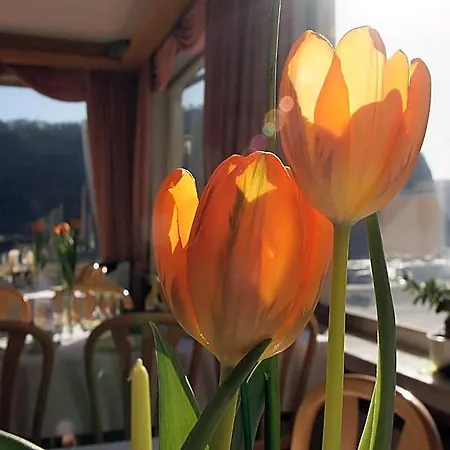 Cafe Restaurant Loreleyblick