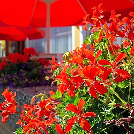 Cafe Restaurant Loreleyblick Oberwesel