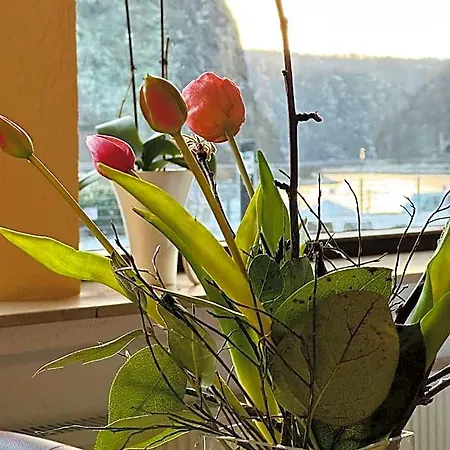 Otel Cafe Restaurant Loreleyblick